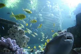 Sea Life Munchen