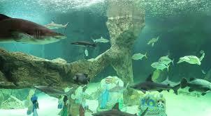 Zoo Aquarium di Madrid
