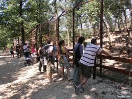 Parco Faunistico di Budakeszi