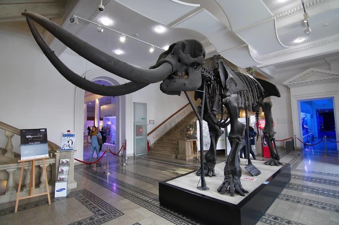 Museo di Scienze Naturali Grigore Antipa