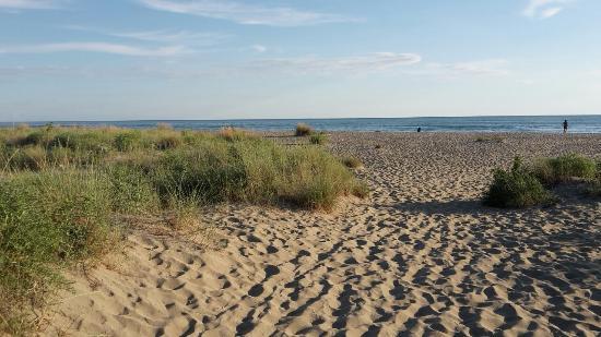 Spiaggia della Lecciona