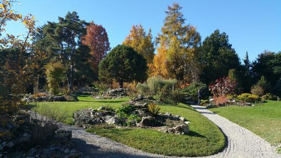 Giardini botanici