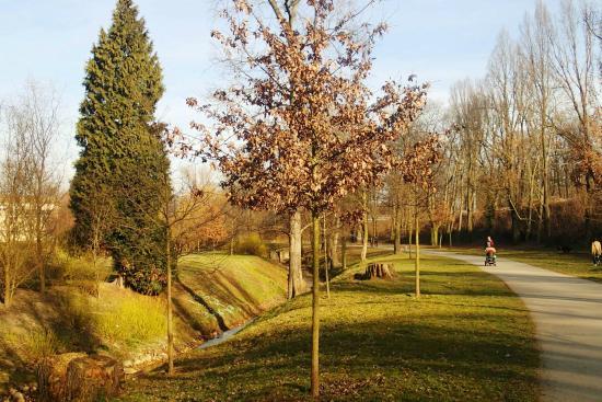 Parco di Stromovka