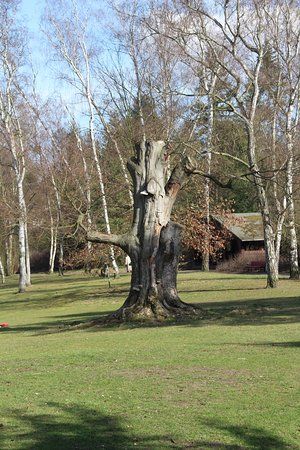 Fischtalpark