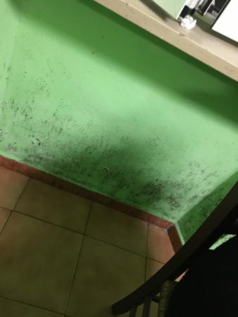 Trattoria dalla Gigia