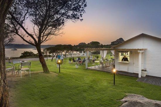 The Grove Beach Club