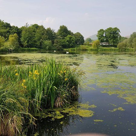Figgate Park