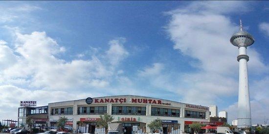 Kanatci Muhtar Halis