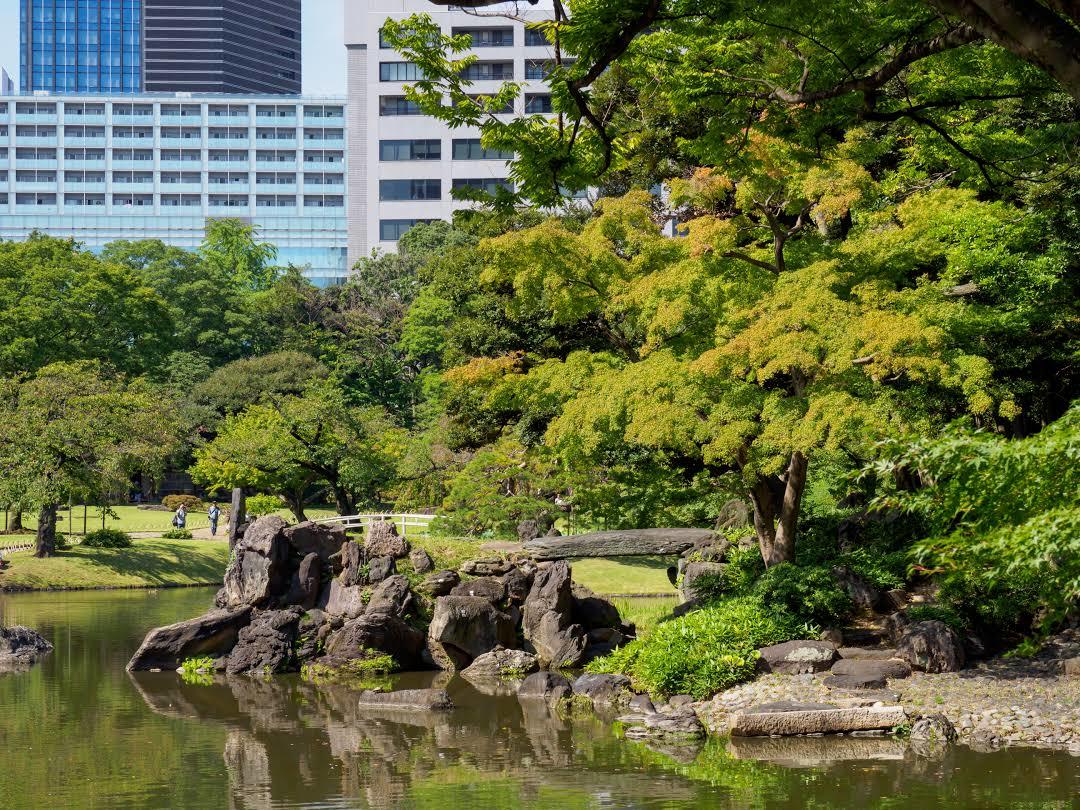 Orto botanico di Koishikawa Kōrakuen