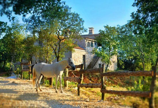 Moncerlongo Ranch