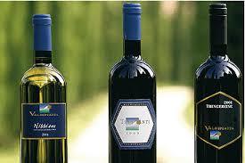 Tenuta Valdipiatta