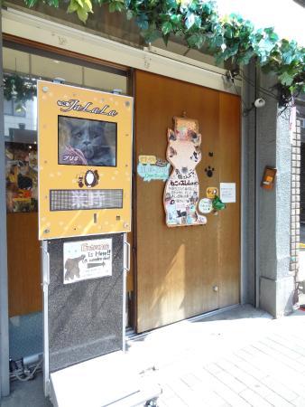 Neko JaLaLa