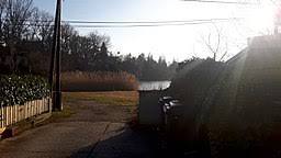 Schellensee