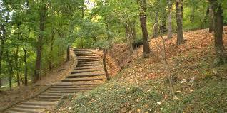 Parco Farneto