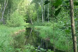 Krumme Lake Grünau