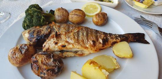 Sabor a Santos