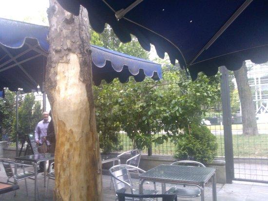 El Rincon del Jamon