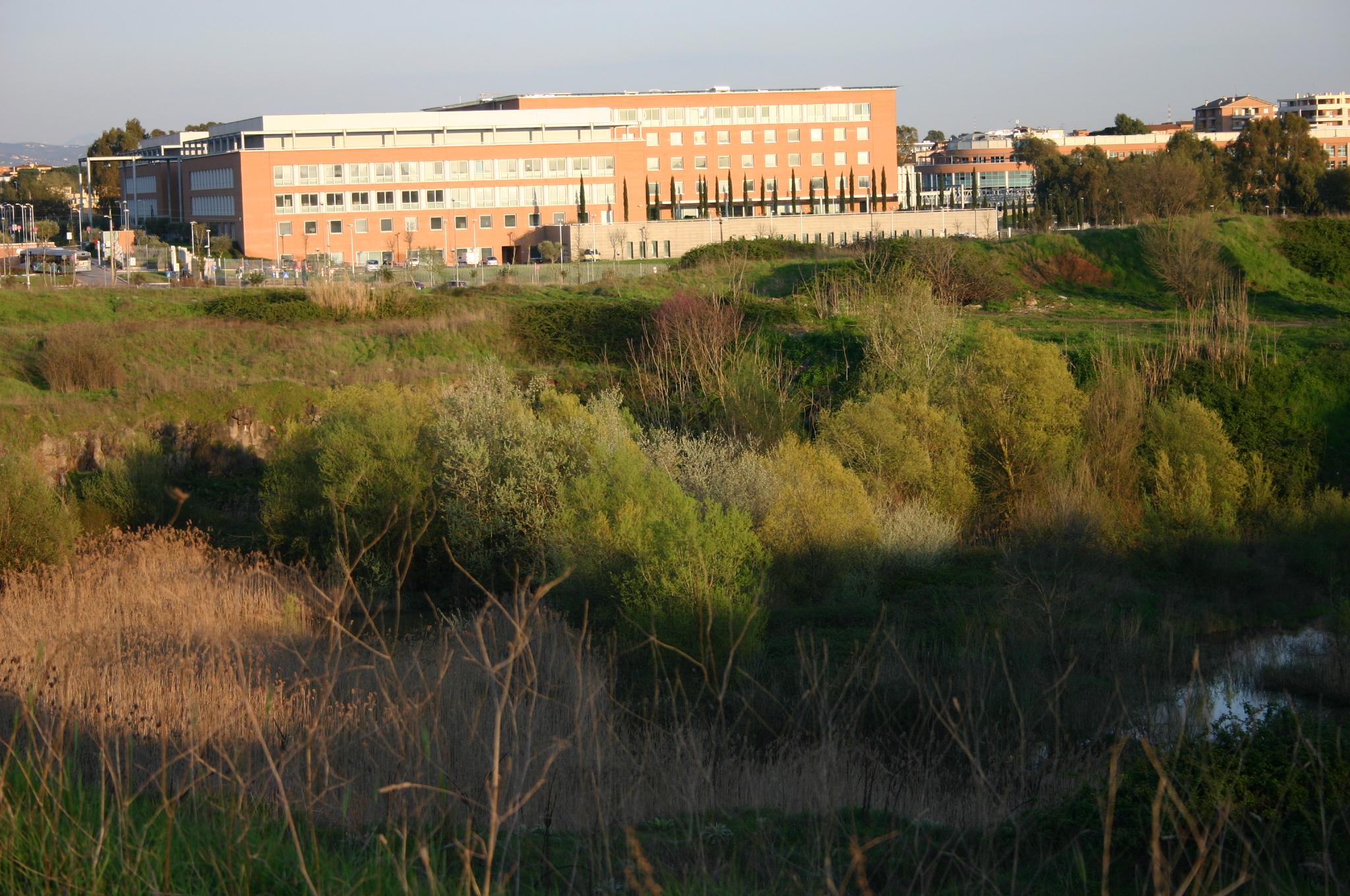 Università Campus Bio-Medico