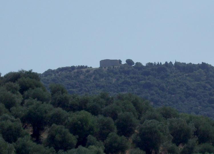 Tino di Moscona