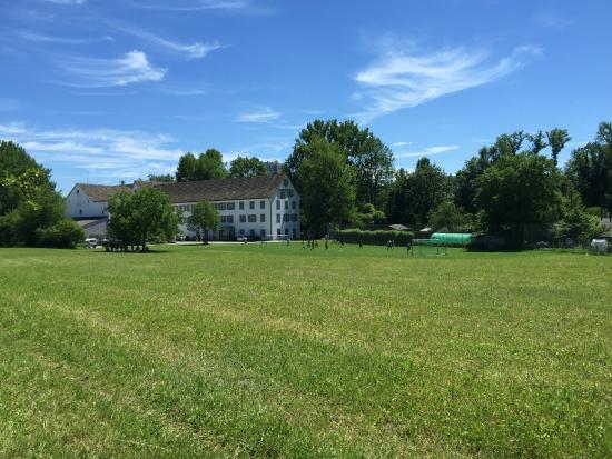 Werdinsel