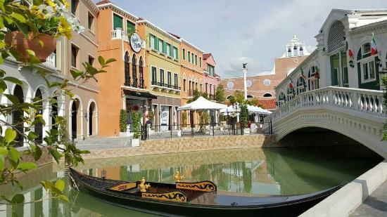 Venice Di Iris