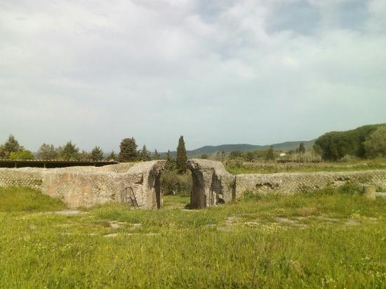 Area del Foro e Domus Private della Città Romana di Volsinii