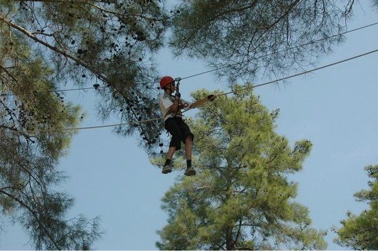 Adventure Forest