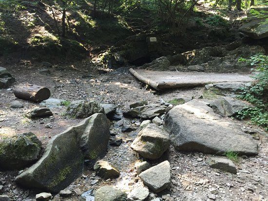 Sorgente del Lambro