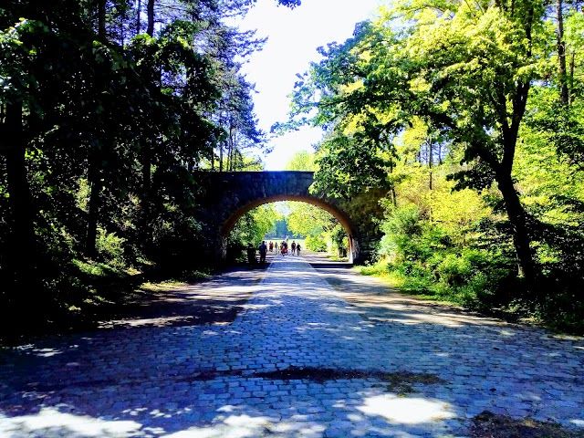 Volkspark Rehberge