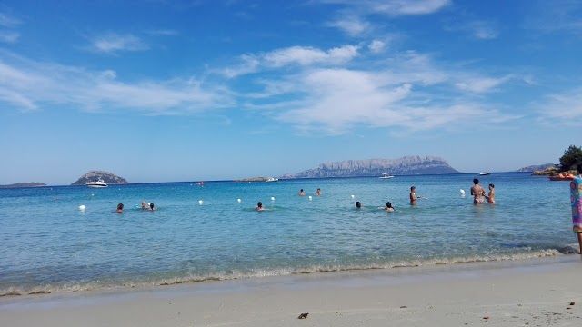 Fino Beach Club
