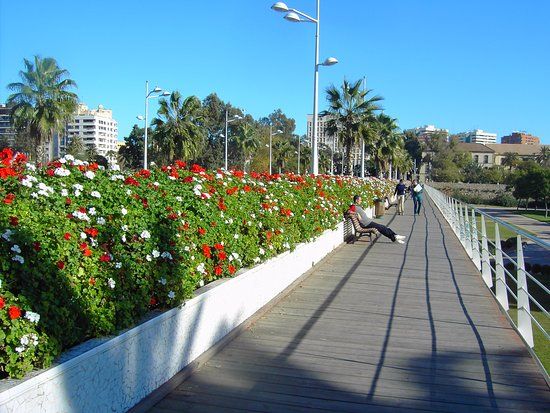 Pont de les Flors