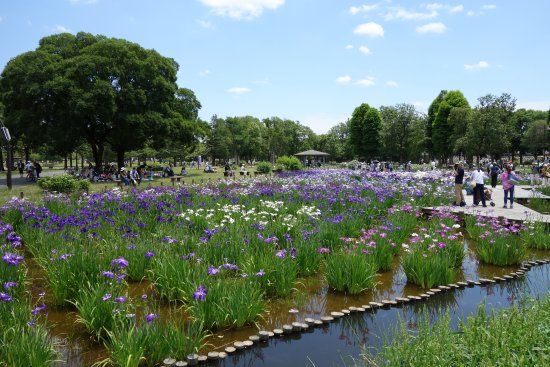 Parco di Mizumoto