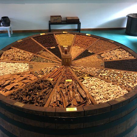 Museo Branca