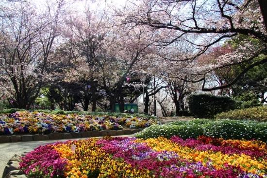 Parco Asukayama