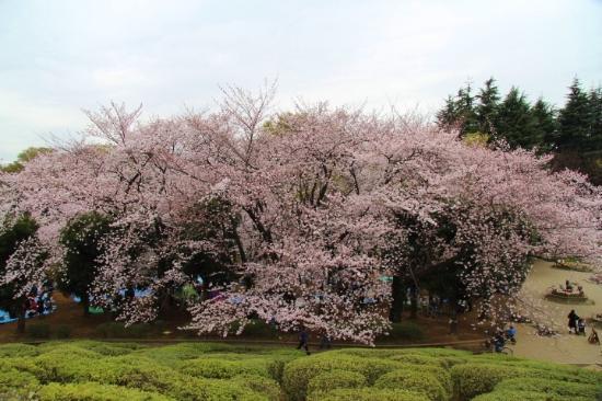 Parco Setagaya