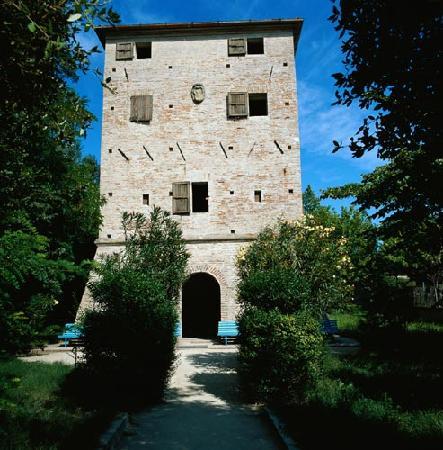 Museo delle conchiglie