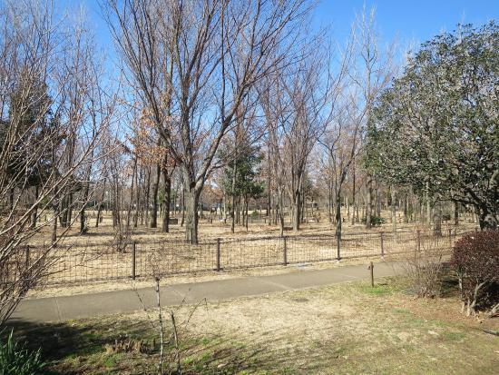 Parco Kuritsu Kashinomiya
