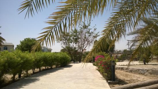 Majlis Ghorfat Um-al-Sheif