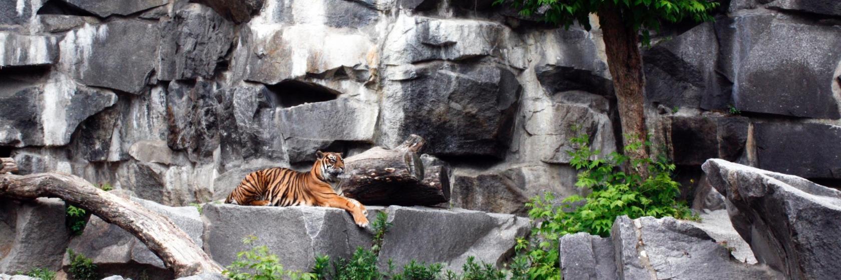 Giardino Zoologico Tierpark