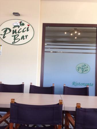 Pucci Bar