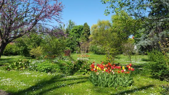 Giardino botanico di Bucarest