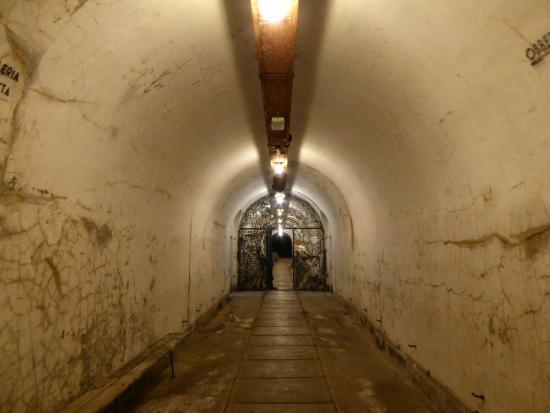 Musei E Rifugio SMI