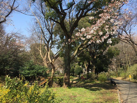 Parco Toyama