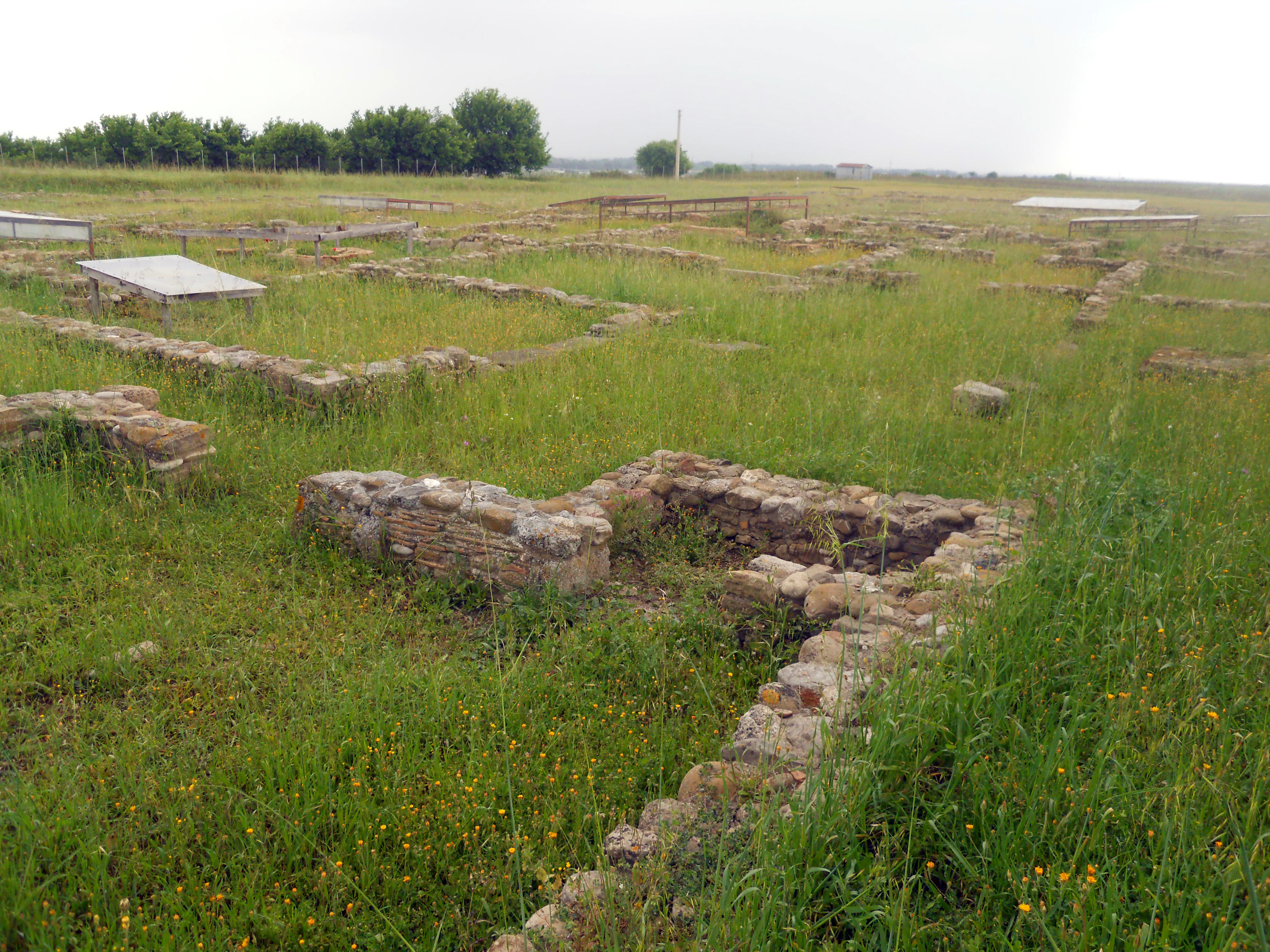 Eraclea