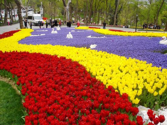 Parco Emirgan