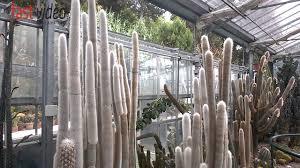 Giardino Sottovico