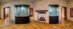 Antiquarium di Castrum Truentinum